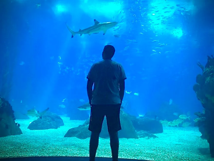 Silhouette of Anas Daoudi in front of a large aquarium tank with a shark swimming above